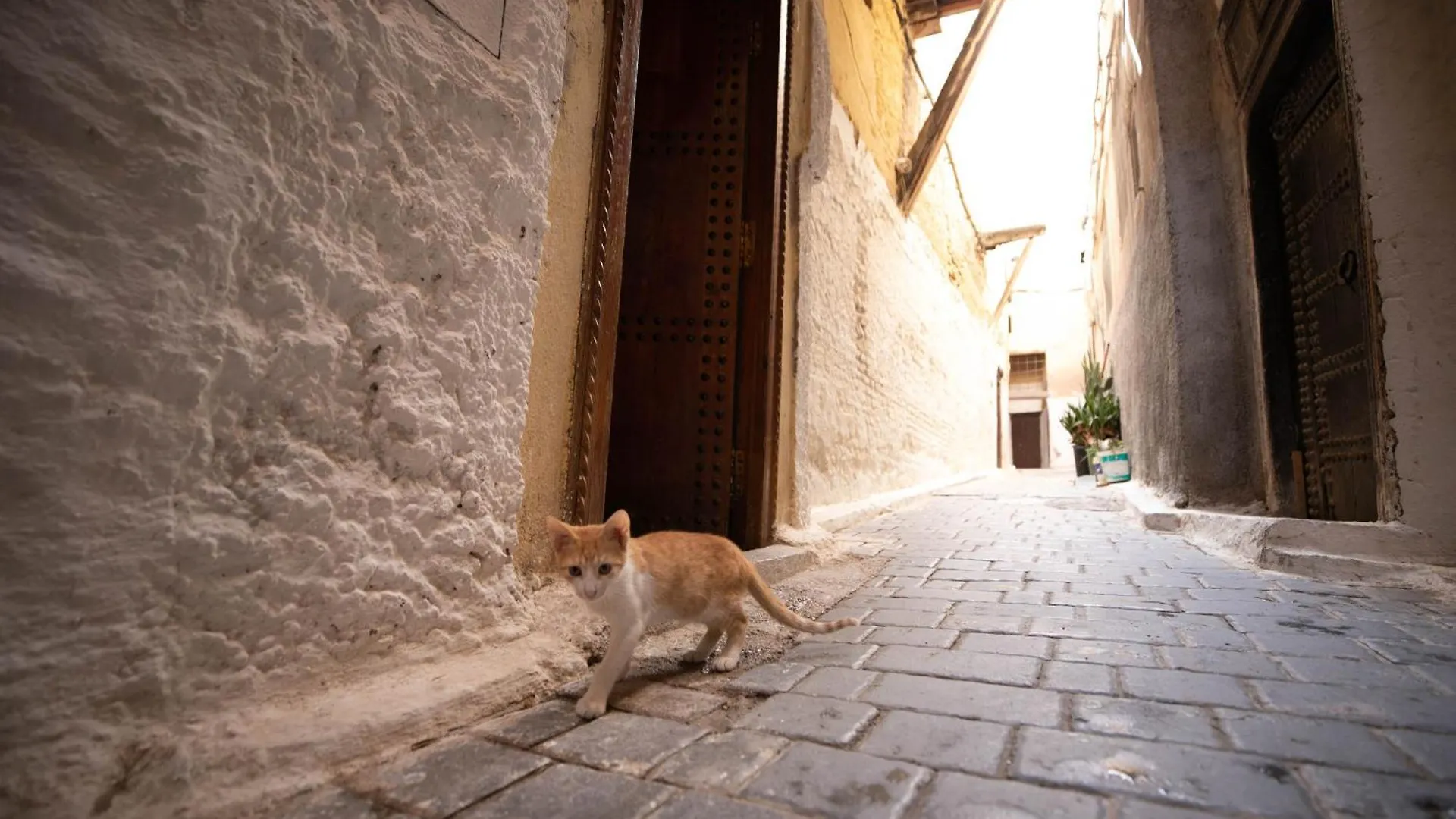 Guest house Riad Dar Omar Fes